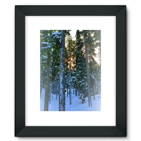 TreeSet Framed Fine Art Print