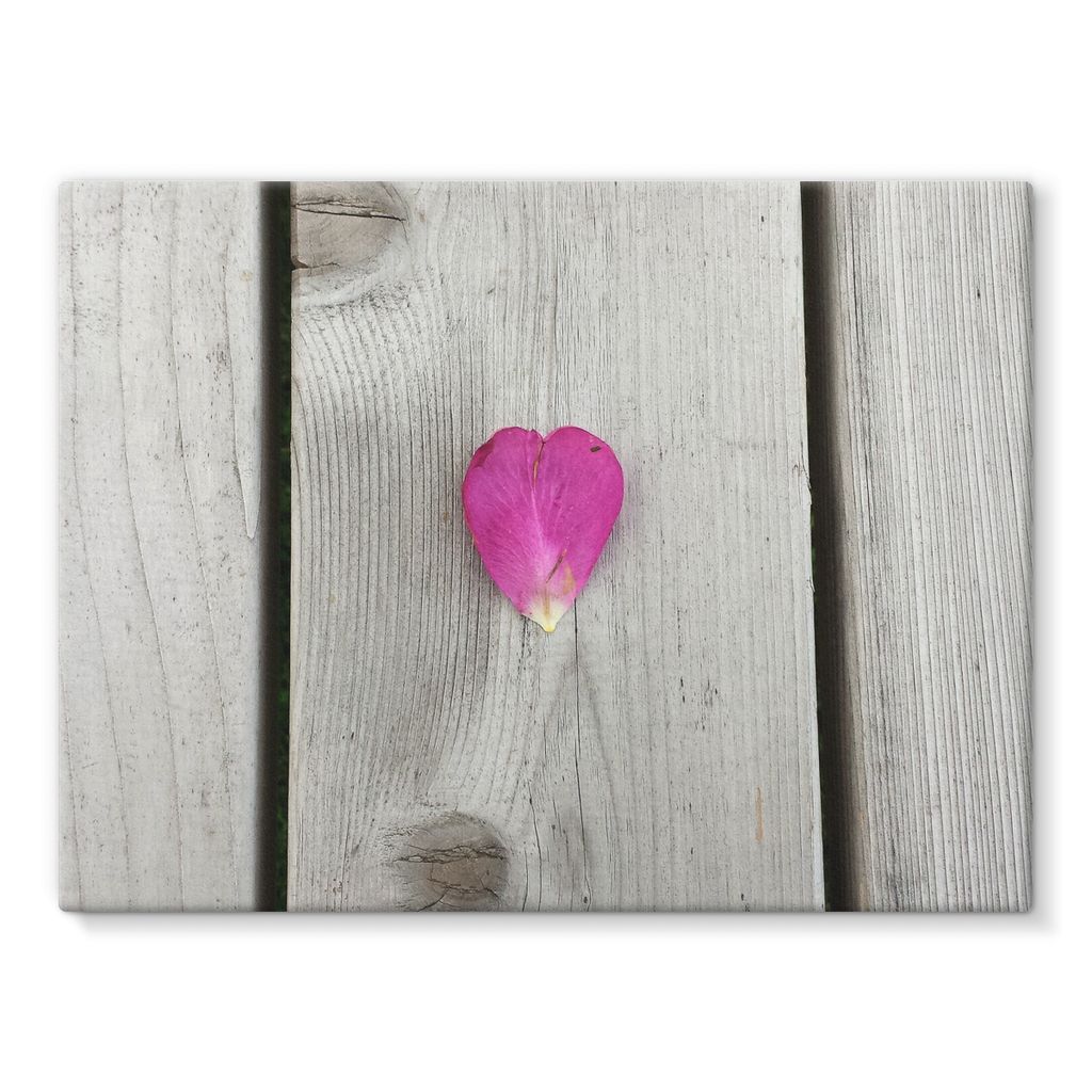 Petal Heart: Stretched Canvas