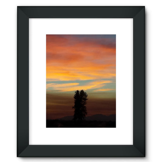 Lone Wolf: Framed Fine Art Print