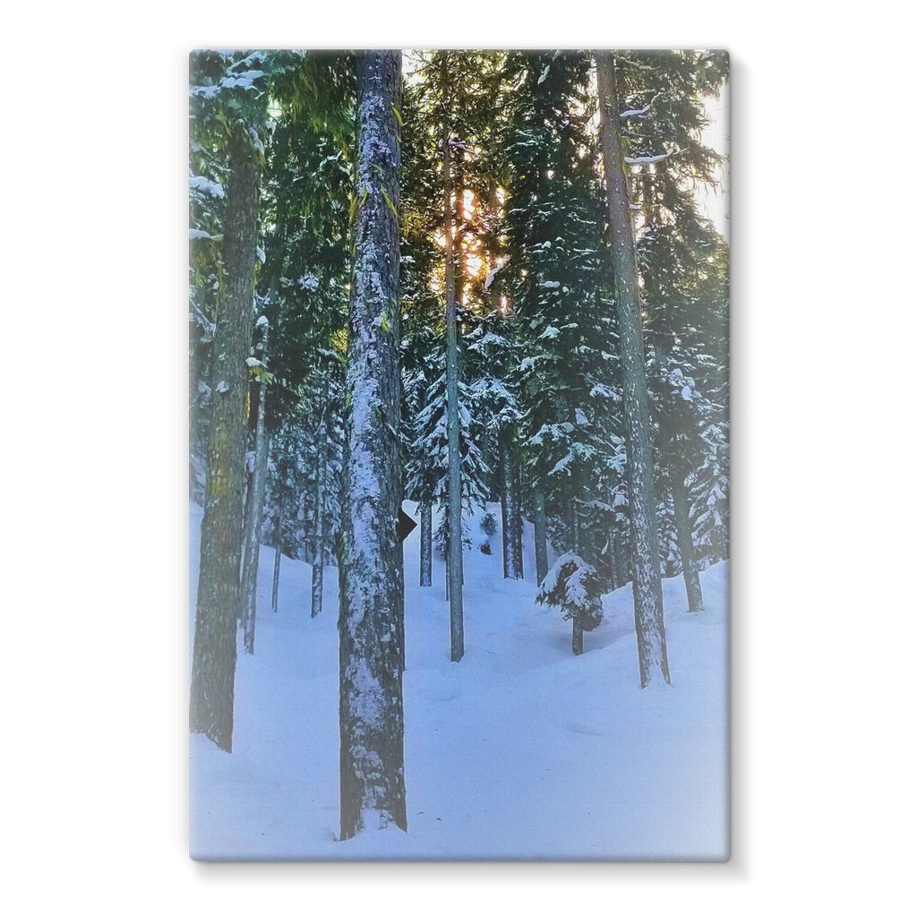 TreeSet Stretched Canvas