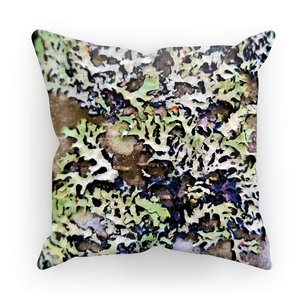 Lichen Up: Cushion