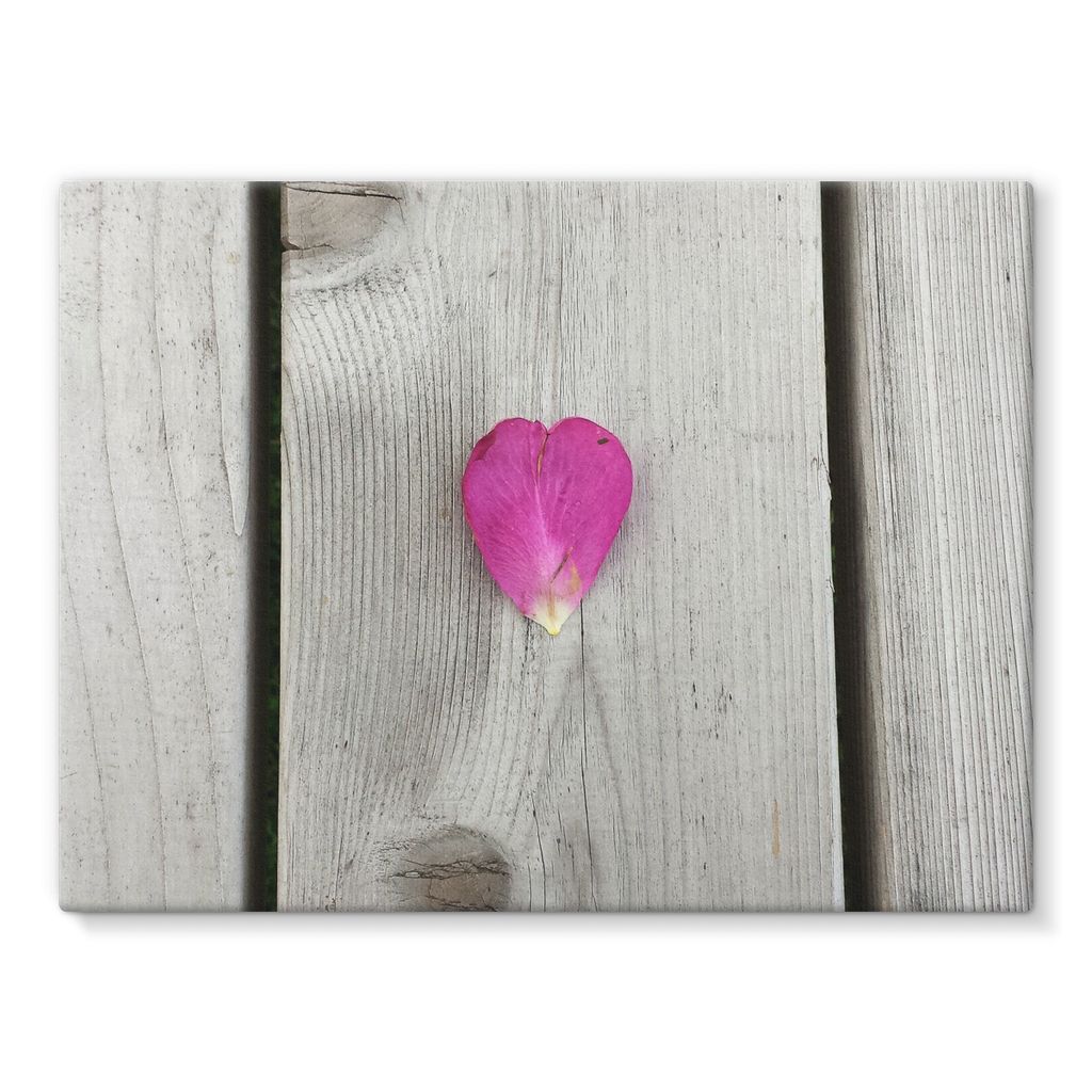 Petal Heart: Stretched Canvas