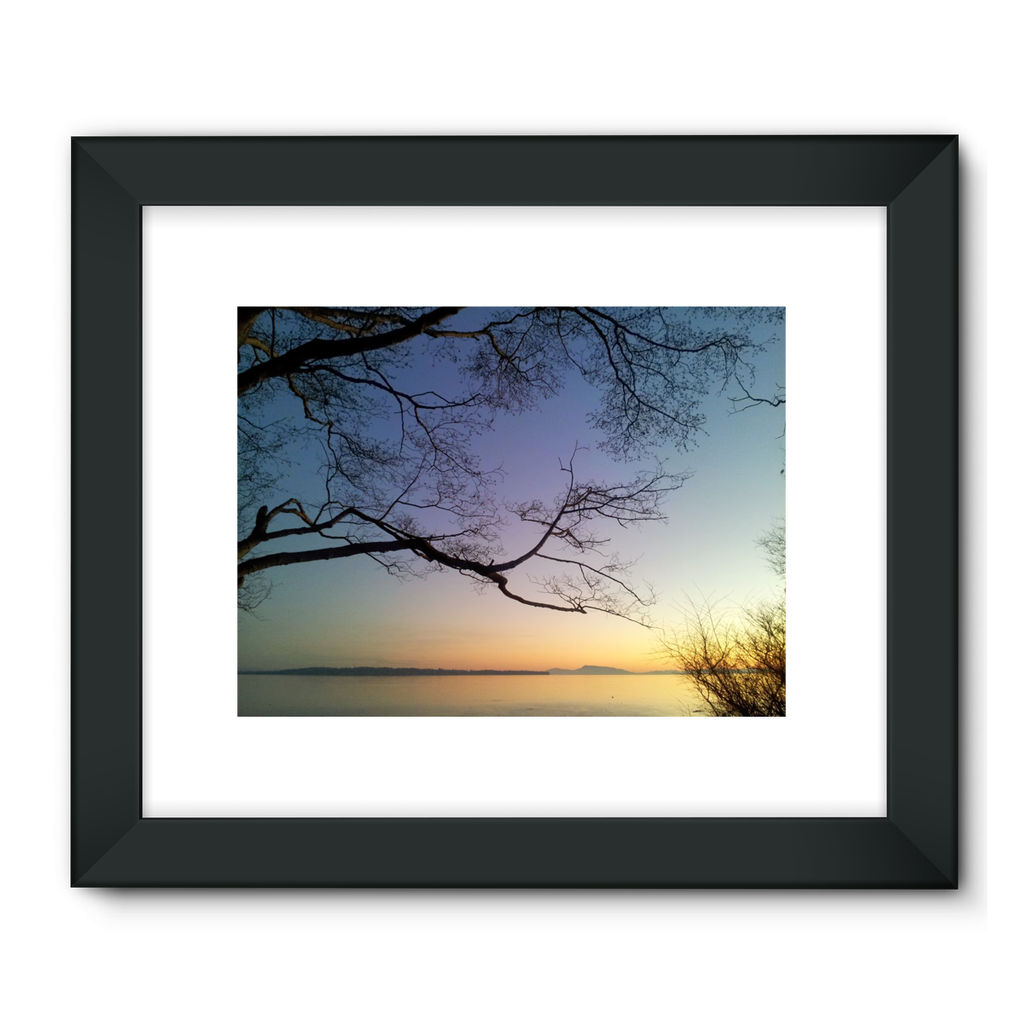 Sea Tree: Framed Fine Art Print