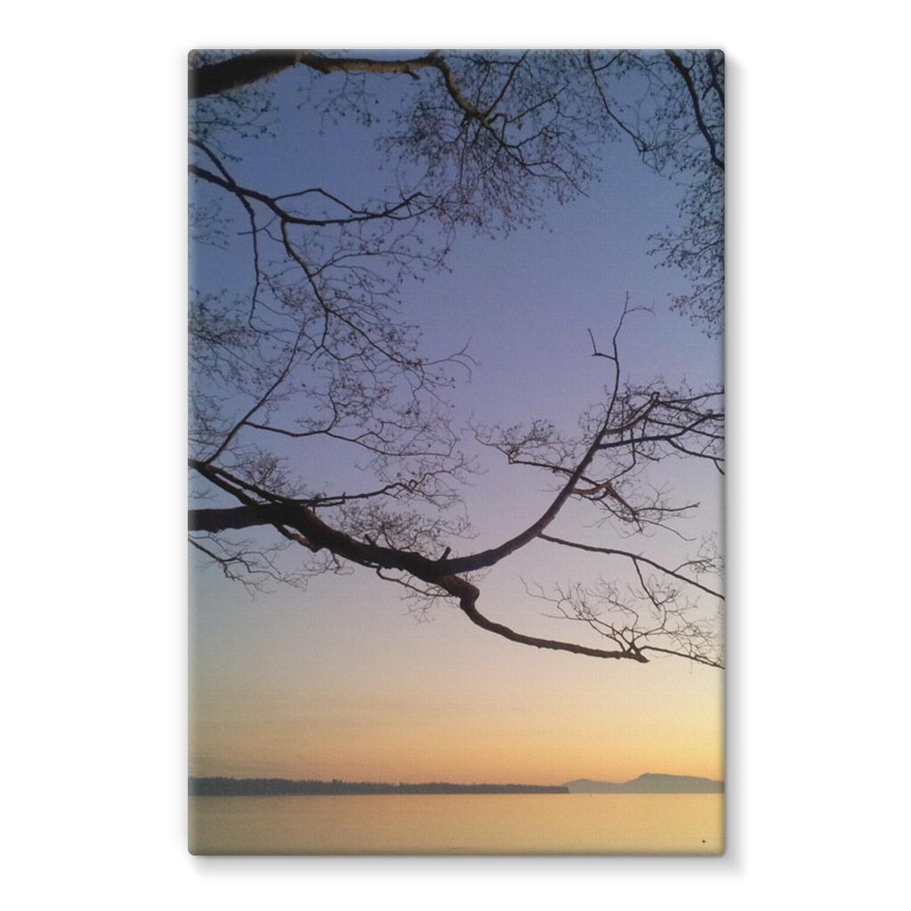 Sea Tree: Stretched Canvas