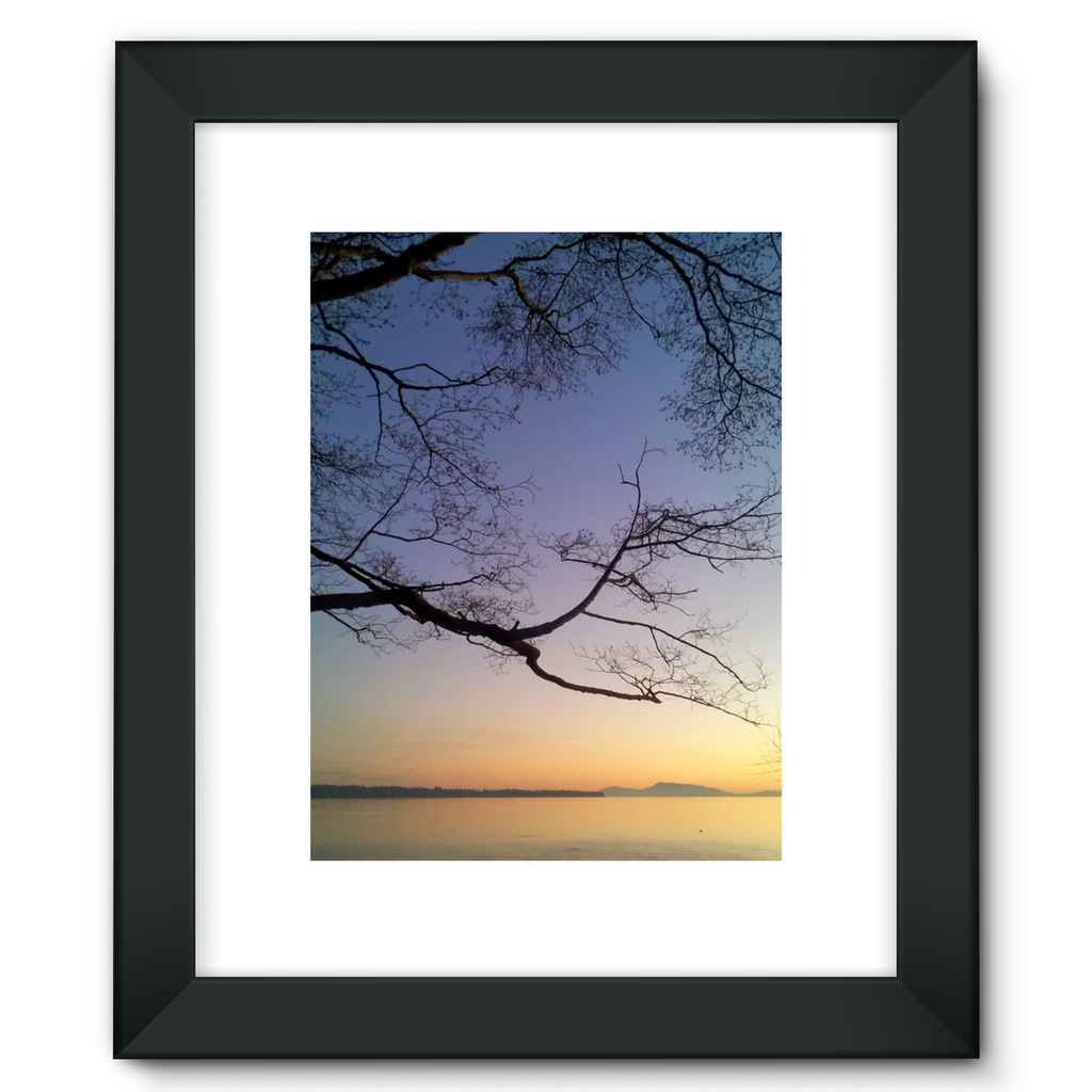 Sea Tree: Framed Fine Art Print