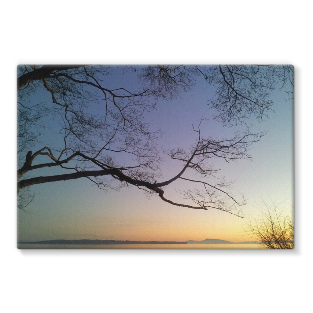 Sea Tree: Stretched Canvas