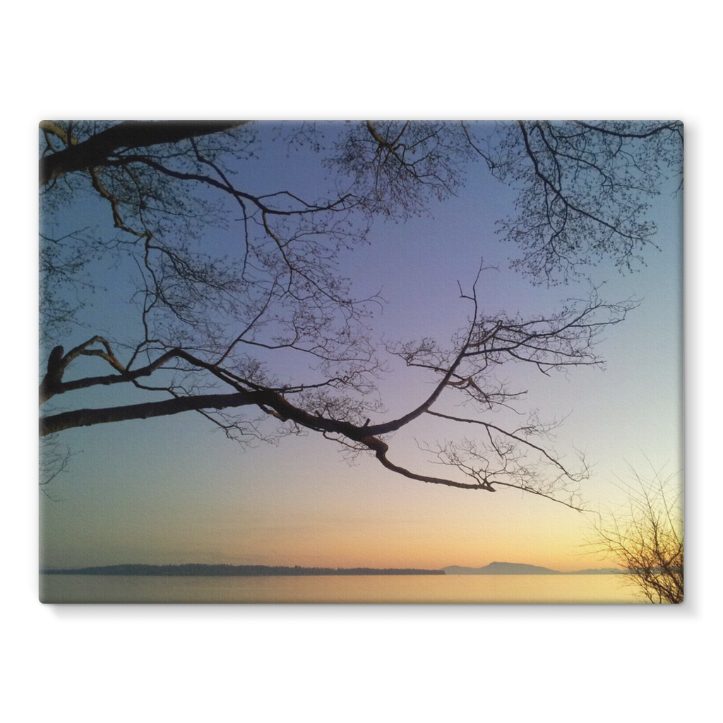 Sea Tree: Stretched Canvas