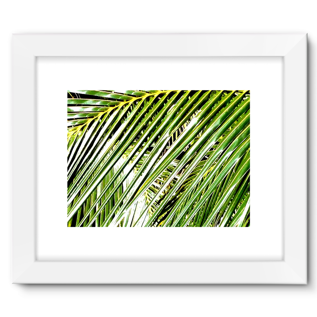 Filtered Palm: Framed Fine Art Print