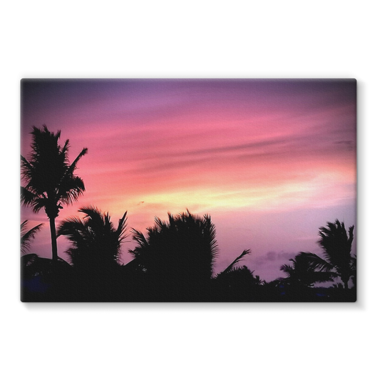 Sunset Palm Stretched Canvas