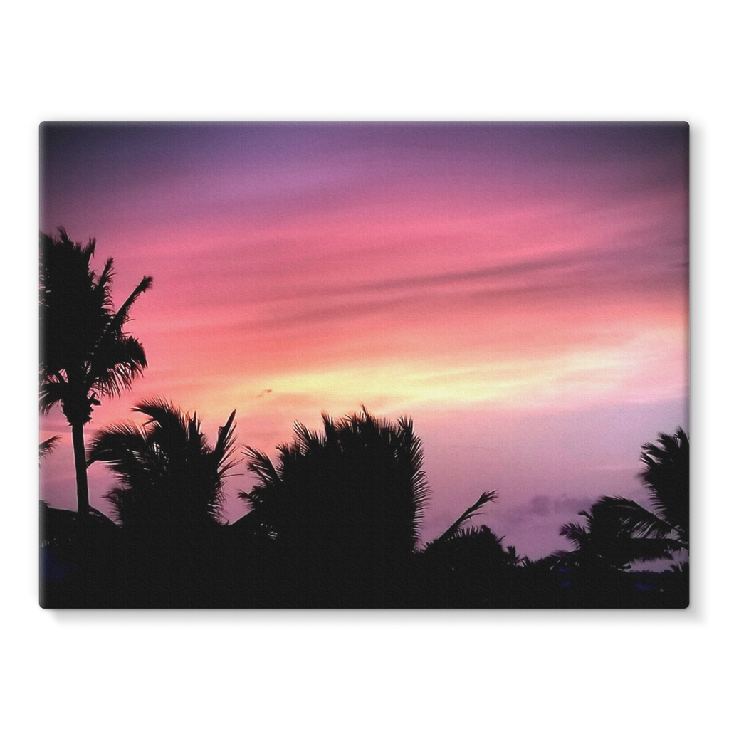 Sunset Palm Stretched Canvas