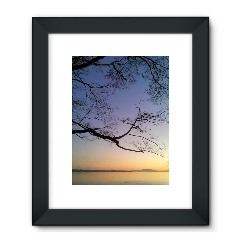 Sea Tree: Framed Fine Art Print