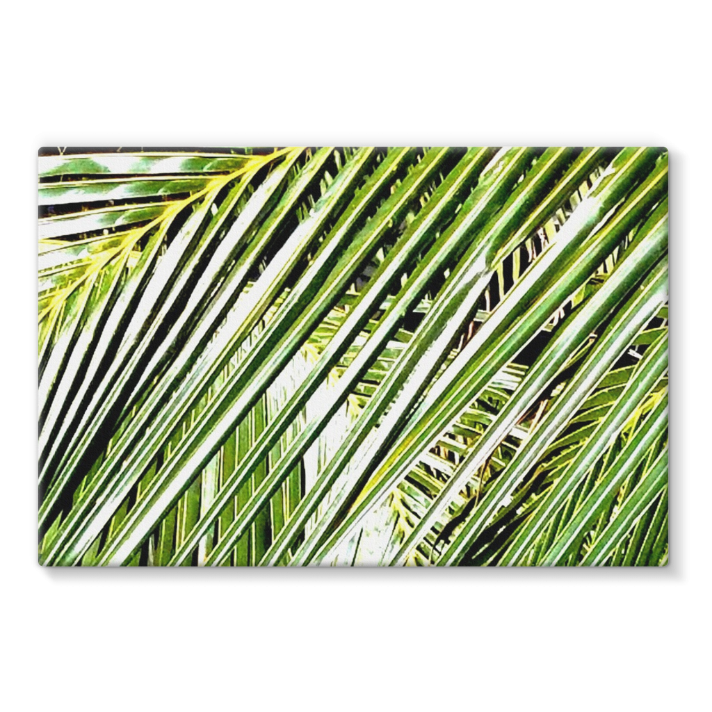 Filtered Palm: Stretched Canvas