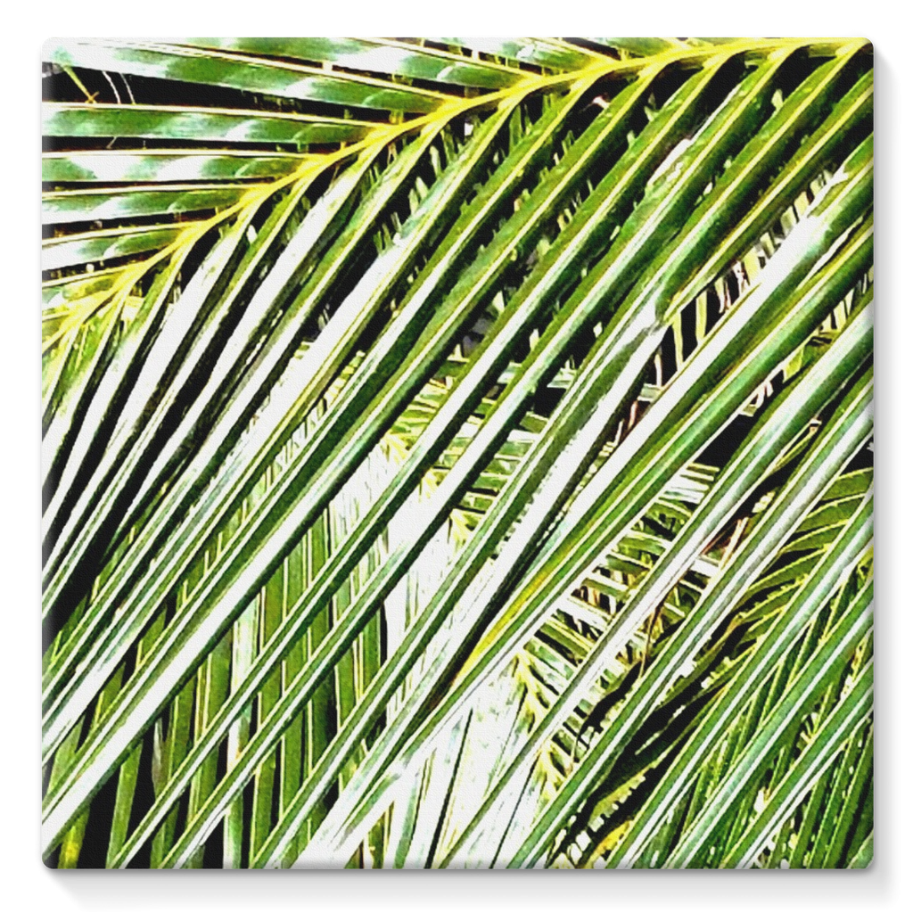 Filtered Palm: Stretched Canvas