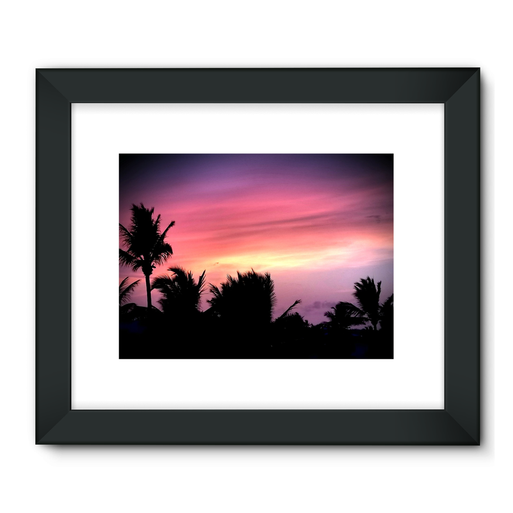 Sunset Palm Framed Fine Art Print