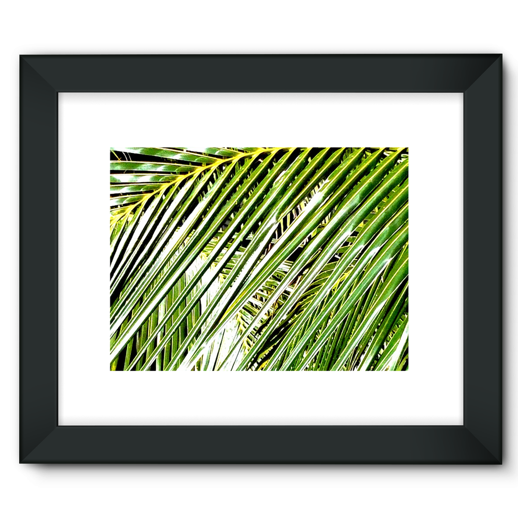 Filtered Palm: Framed Fine Art Print