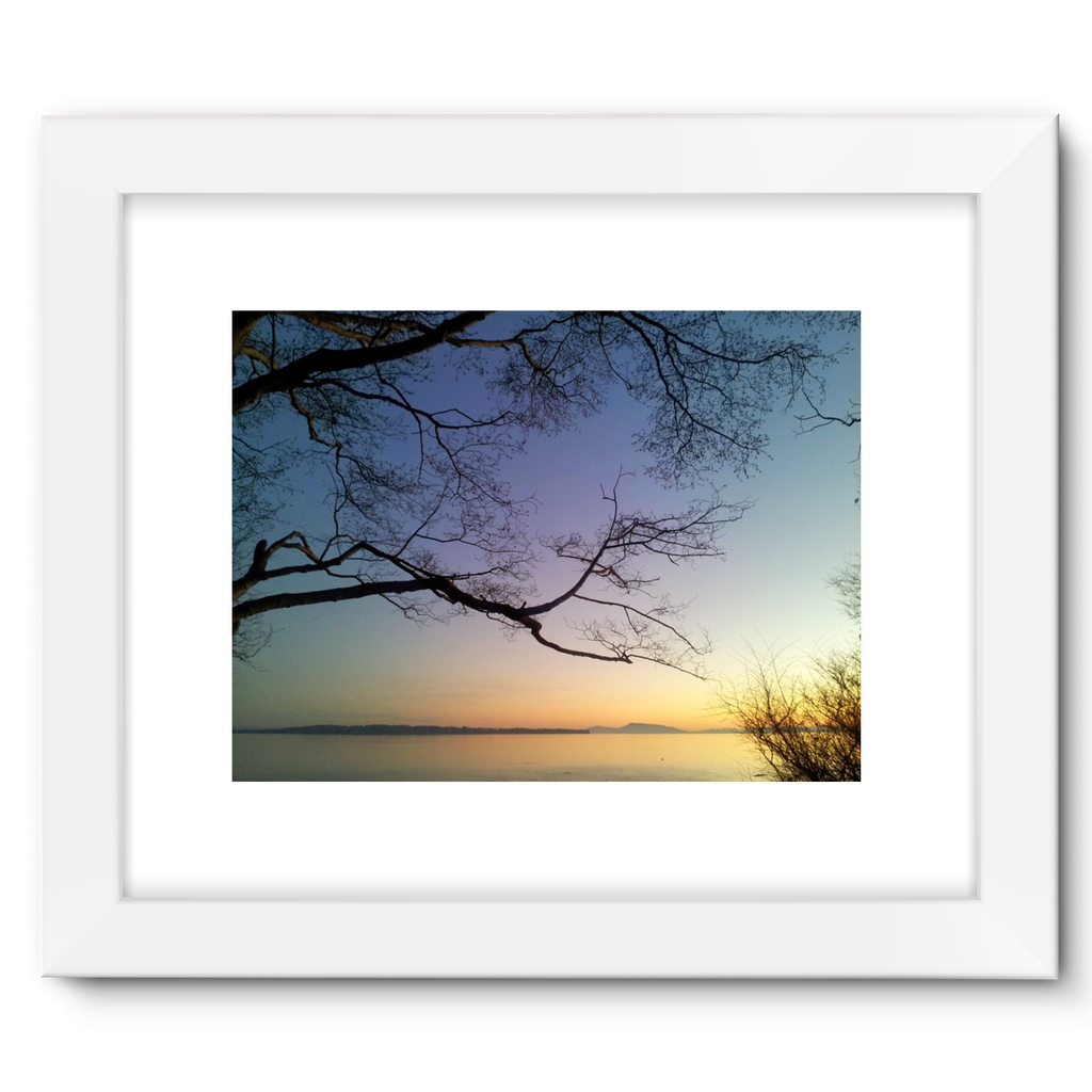 Sea Tree: Framed Fine Art Print