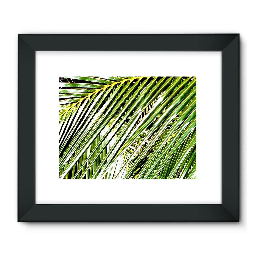 Filtered Palm: Framed Fine Art Print