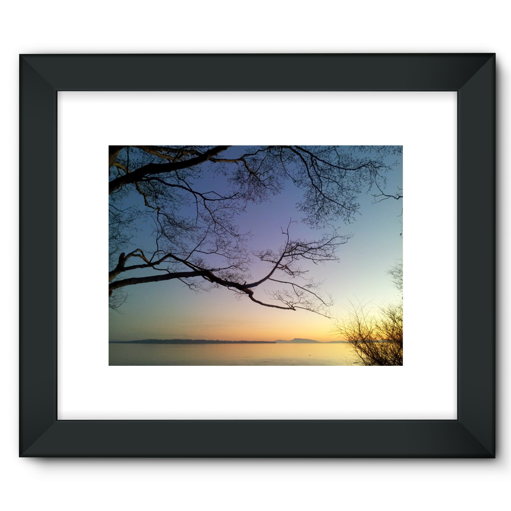 Sea Tree: Framed Fine Art Print