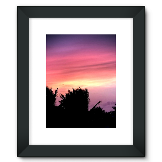 Sunset Palm Framed Fine Art Print